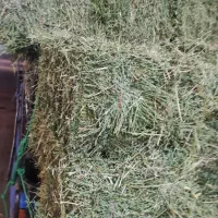 یونجه پرس انباری درجه یک
