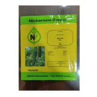 فروش بذر خیار گلخانه ای و...|حراج|جیرفت, |دیوار