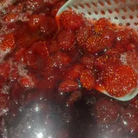 مربا توت فرنگی تازه|خوردنی و آشامیدنی|شیراز, نصر|دیوار