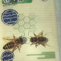 کتاب علوم تجربی پایه نهم تیزهوشان خیلی سبز