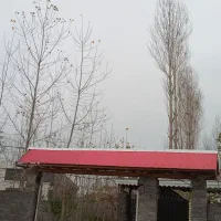 نجاری سقف شیروانی حلب زنی سقف کاذب راویز|خدمات پیشه و مهارت|رشت, کوی بیانی|دیوار