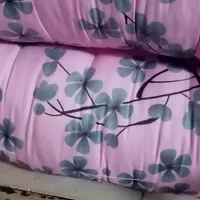 دوتا تشک نو