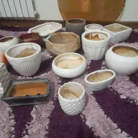 گلدان وشیشه عسلی