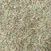فروش جو آبی