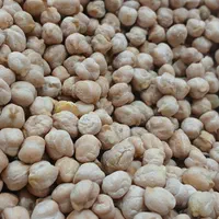 انواع حبوبات و خشکبار