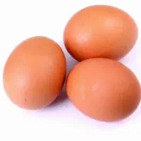 تخم مرغ رسمی