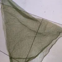 چارقد یا تور سر محلی|لباس|شیراز, لب آب|دیوار