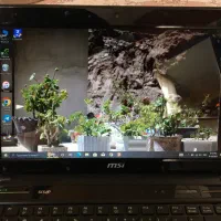 لپ تاپ msi cx480|رایانه همراه|تهران, اوقاف|دیوار