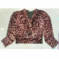 شومیزمجلسی دررنگهای پیازی و قهوه ای|لباس|اردبیل, |دیوار