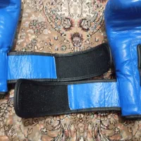 دستکش بوکس|تجهیزات ورزشی|آذرشهر, |دیوار