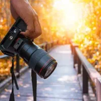 نیازمند همکار عکاس در شیفت صبح