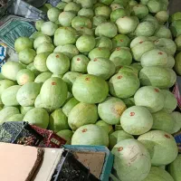 نیازمند کارگر میوه فروشی