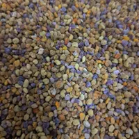 بازاریاب خانم