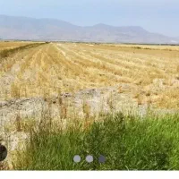 زمین-کشاورزی-روستای-بهرام-اباد-سفلی-جهت-مهریه