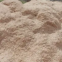 کاه گندم