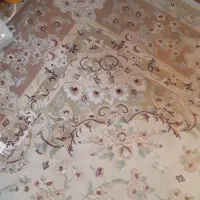 فرش|فرش|مشهد, آبکوه|دیوار