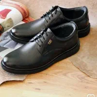 کفش دیپلمات مجلسی نو