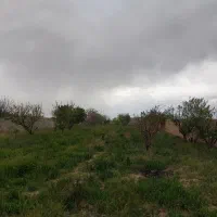باغ زمین مسکونی ابتدای شهرک محمودیان