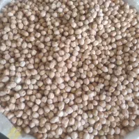 حبوبات تازه