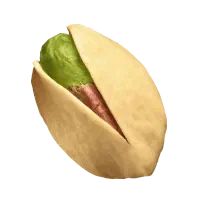 زمین پسته 2/5 هکتار فوری فوری