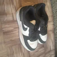 کفش|کیف، کفش، کمربند|سنندج, |دیوار