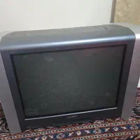 تلویزیون