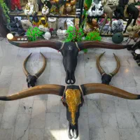 مجسمه شاخ کشیده دیوارکوب