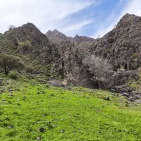 فصل گل و گلاب کاشان