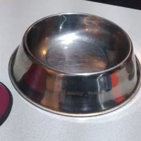 وسایل پت|لوازم جانبی حیوانات|بوشهر, |دیوار