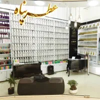 استخدام نیرو
