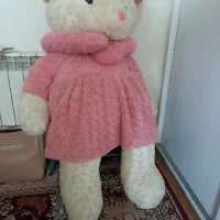 خرس شاسخین