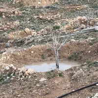 فروش فوری ملک انجیرقلعه خواجه