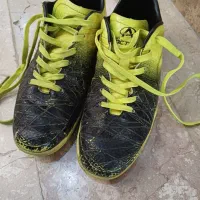 کفش سالنی رایگان