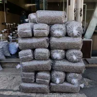 تخمه آفتابگردان با طعم های مختلف