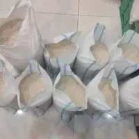 برنج مازندران پخت در حد هاشمی|خوردنی و آشامیدنی|لاهیجان, کوی خزر|دیوار