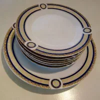 ظروف پذیرایی نو