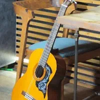 آموزش و تدریس خصوصی گیتار در منزل شما