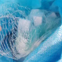 تور گریزی شماره ۲۸|ماهیگیری|بندرعباس, |دیوار