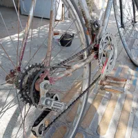 دوچرخه کورسی|دوچرخه، اسکیت، اسکوتر|کاشمر, |دیوار