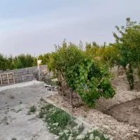باغچه-دینار-آباد-فرصت-مناسب-فروش-فوری