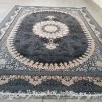 قالی|فرش|جیرفت, |دیوار