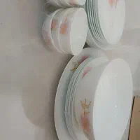 ۶ نفره|ظروف سرو و پذیرایی|دهگلان, |دیوار