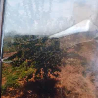 سرکارگرکشاورزی