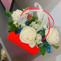 ۵تا باکس گل  نو فروشی