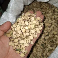 تخم هندوانه بذری