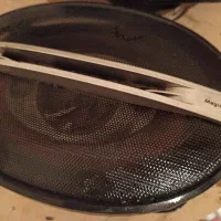 باند خربزه ای مارشال