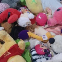 عروسکهای زیبا ومارک دار|اسباببازی|مهاباد (آذربایجان غربی), |دیوار