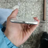 ایفون ۱۱ نرمال پلمپ|موبایل|آفتاب, |دیوار