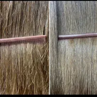 موخره گیری