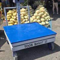 فروش باسکول ۲تنی و ۳تنی|فروشگاه و مغازه|مشهد, فرخد|دیوار